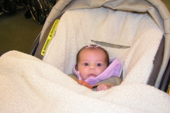 taylor121108-009.jpg