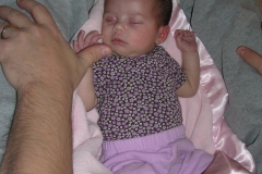 taylor121108-018.jpg