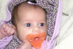 taylor121108-041.jpg