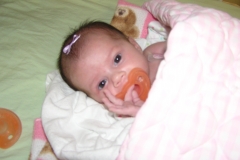 taylor12408-003.jpg