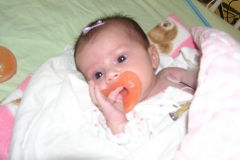 taylor12408-004.jpg