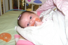 taylor12408-005.jpg