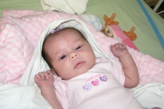 taylor12408-009.jpg