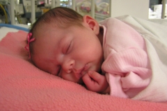 taylor12708-017.jpg