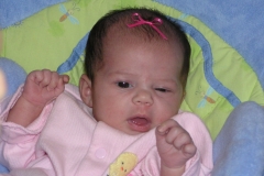 taylor12808-2-020.jpg