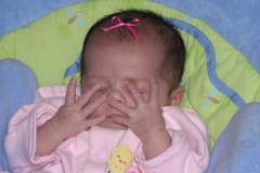 taylor12808-2-021.jpg