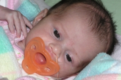 taylor112308-002.jpg