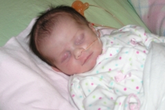 taylor112308-004.jpg