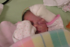 taylor112308-008.jpg