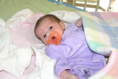 taylor112308-014.jpg