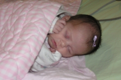 taylor112708-001.jpg
