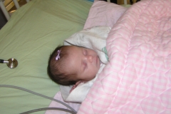 taylor112708-003.jpg
