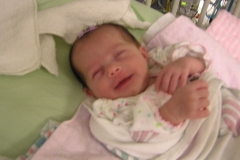 taylor112708-005.jpg