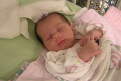 taylor112708-006.jpg