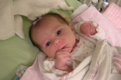 taylor112708-015.jpg