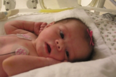 taylor11808-008.jpg