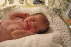 taylor11808-012.jpg