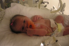 taylor11808-014.jpg
