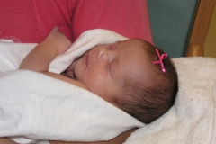 taylor11808-022.jpg