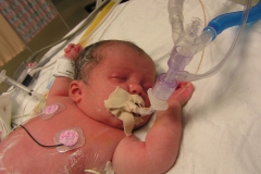 taylor11408-008.jpg
